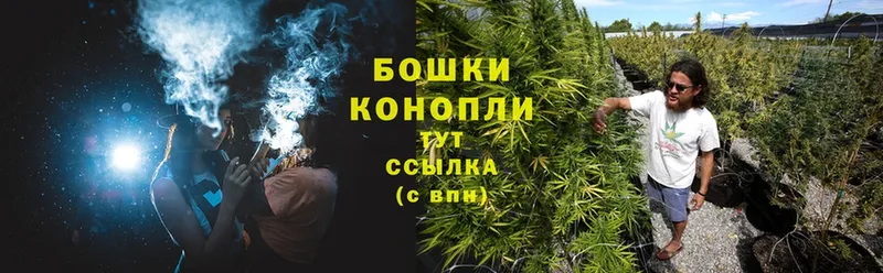 Каннабис Bruce Banner  Аргун 